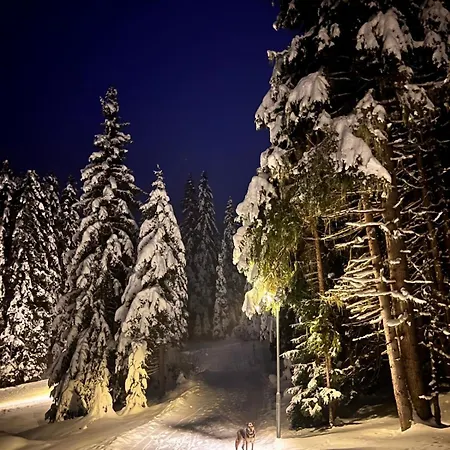 Alpine St-sigmund