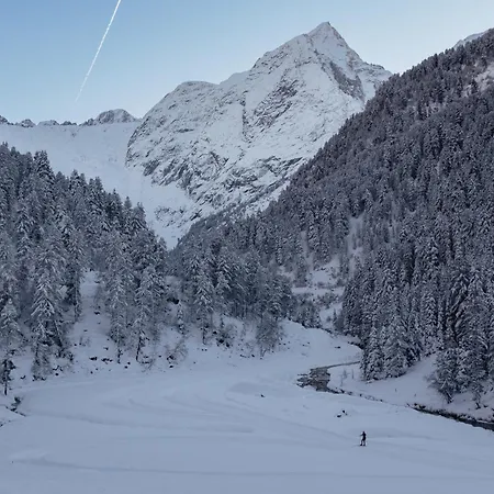 Alpine St-sigmund Appartement